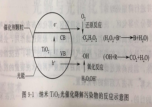 圖(tu)片(pian)4